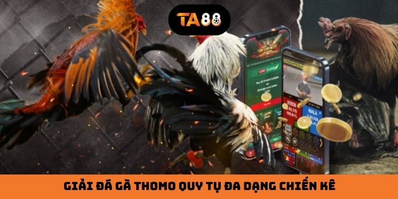 Giải đá gà Thomo quy tụ đa dạng chiến kê