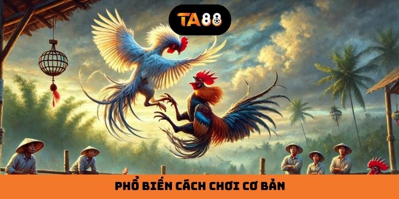 Phổ biến cách chơi cơ bản